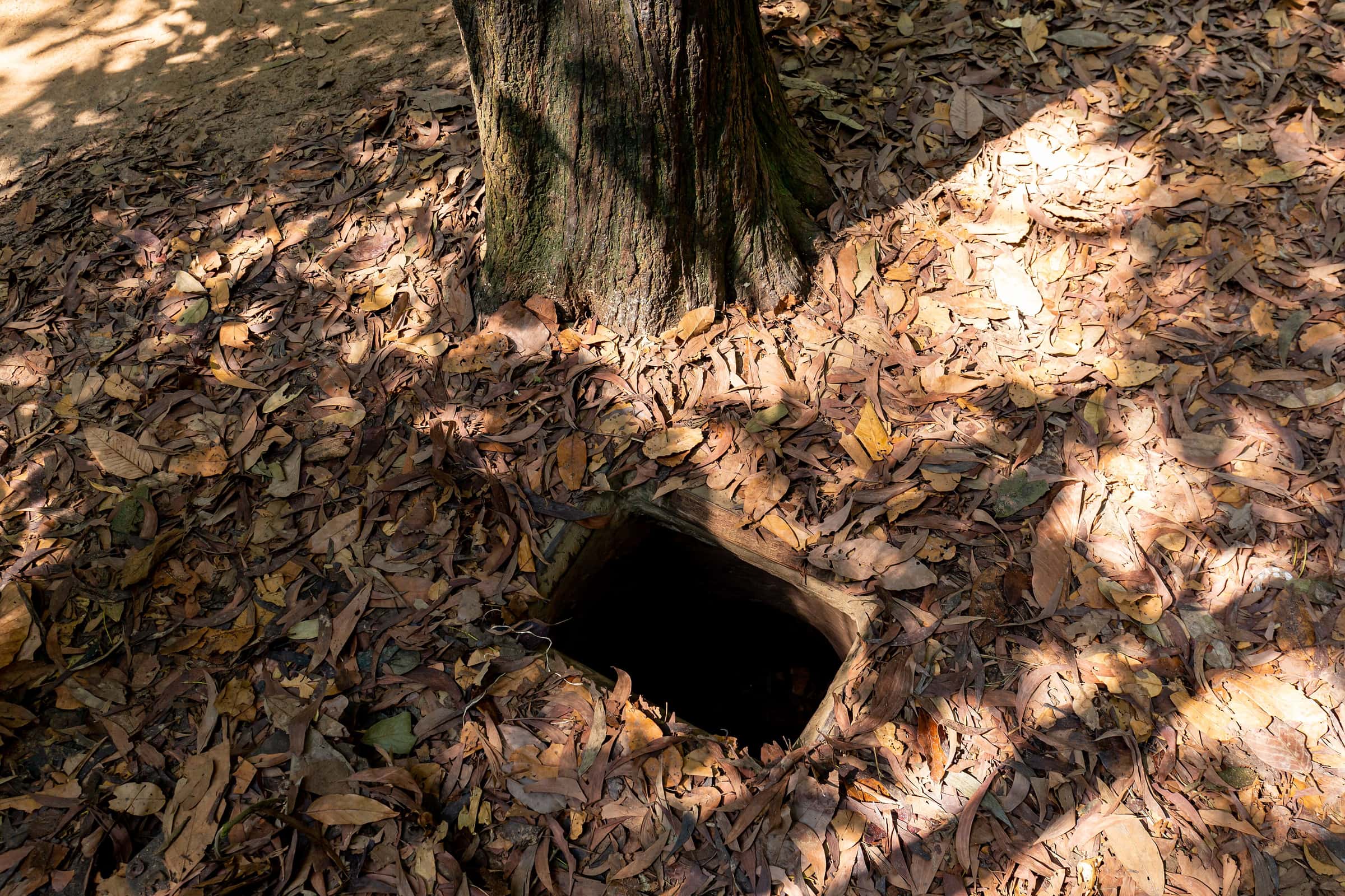 A small hidden tunnel entrance in the leaf litter under a tree at the Cu Chi tunnels