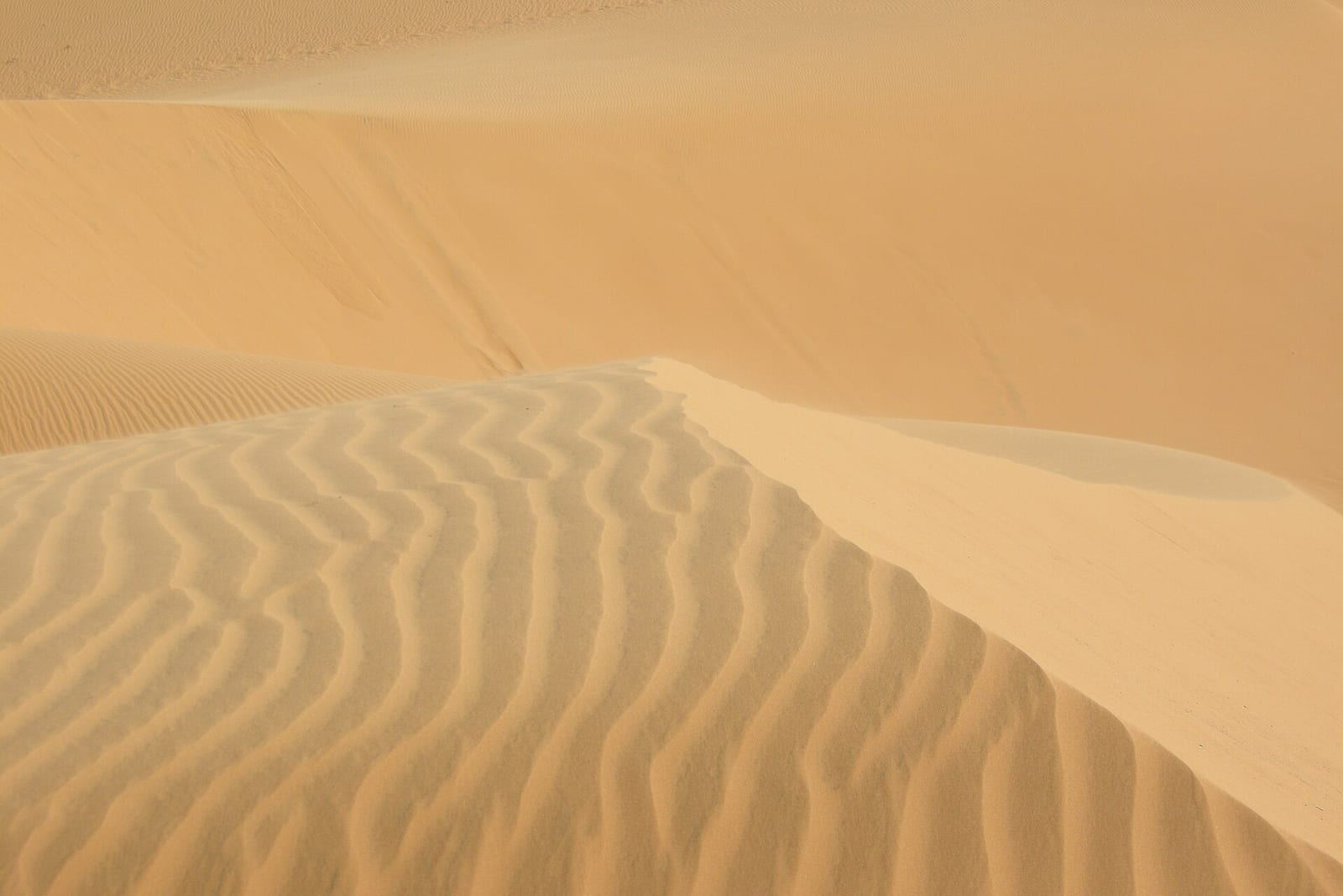Rippled golden sand dunes at Mui Ne