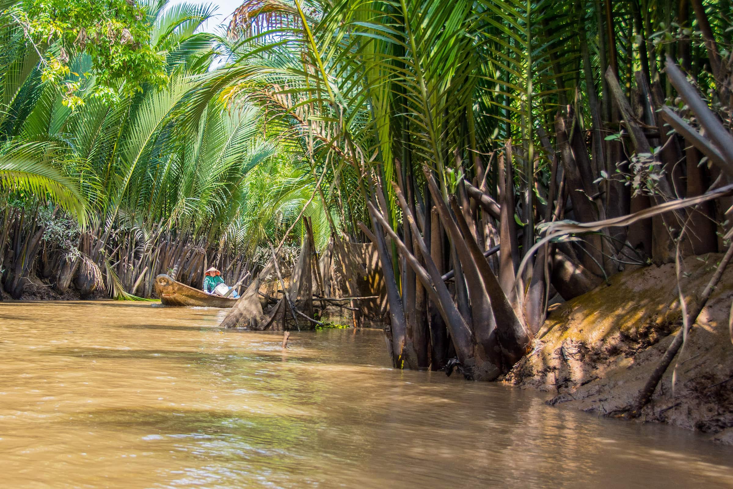 A narrow brown canal lined with nipa palms near My Tho in the Mekong Delta
