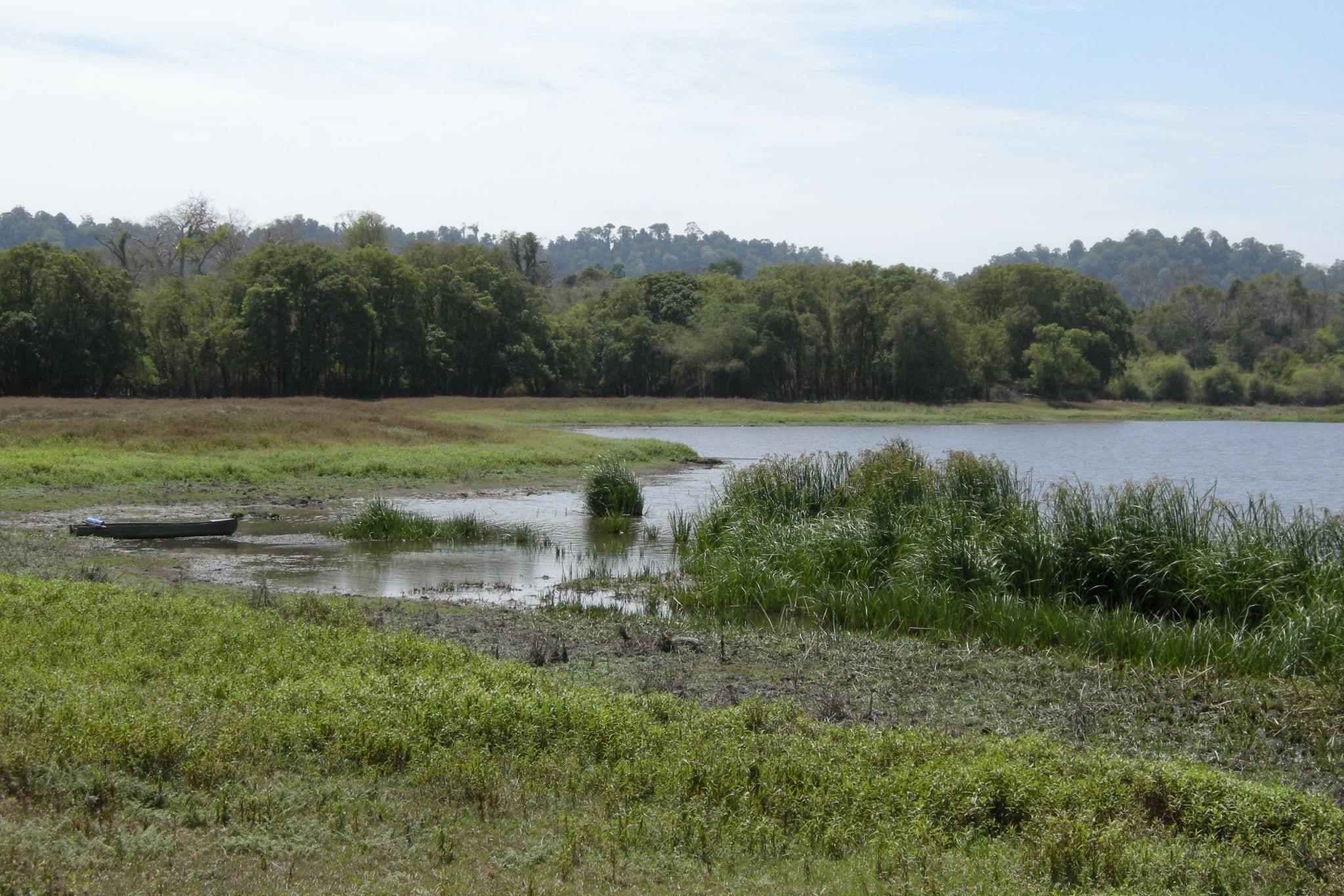 A grassy wetland edge with forest beyond in Cat Tien National Park