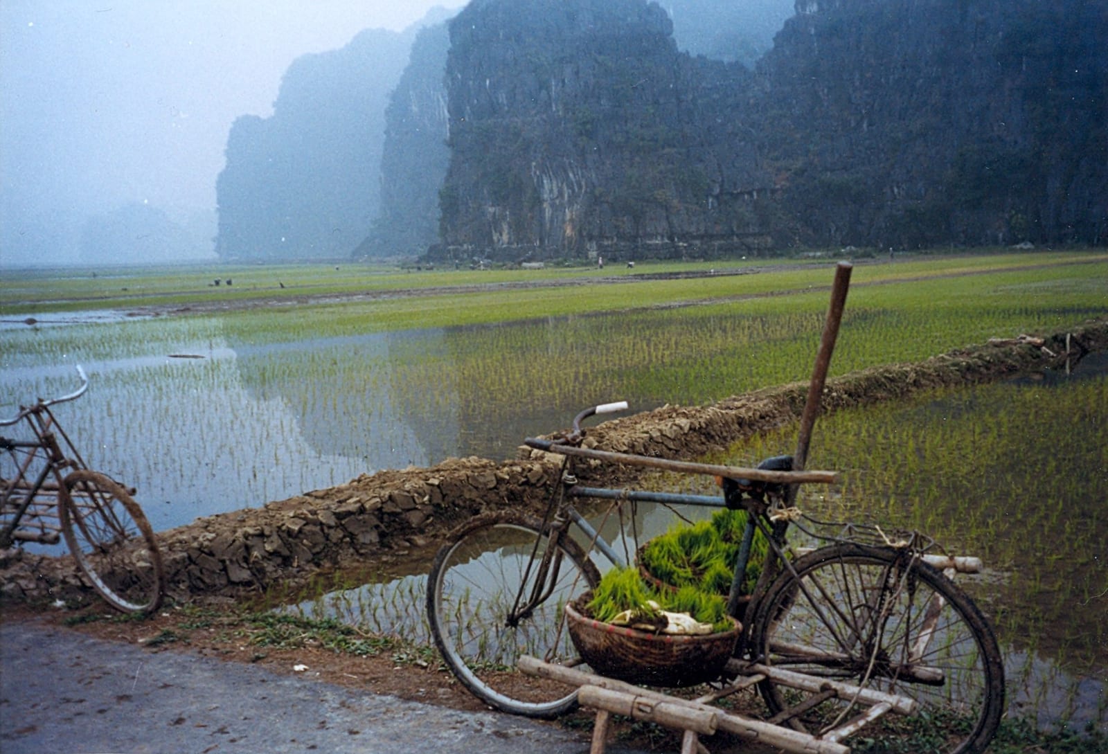 A bicycle by a flooded paddy field with limestone karsts behind at Tam Coc, Ninh Binh