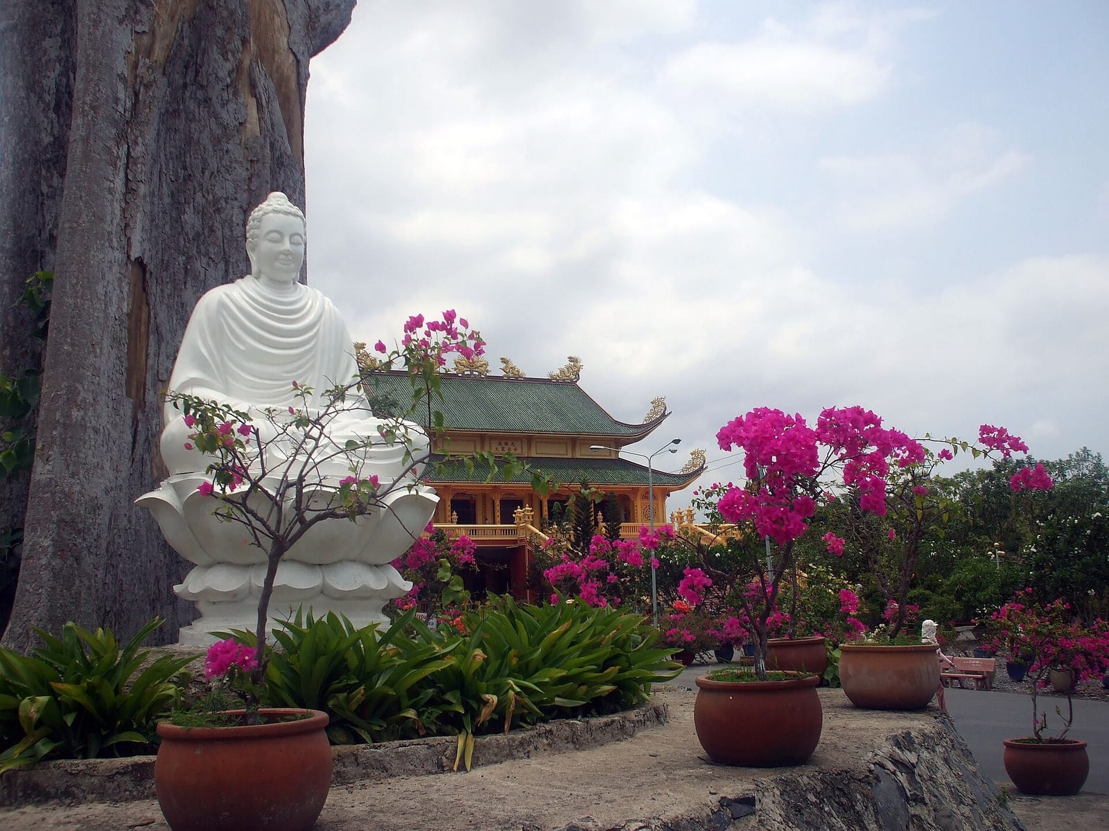 A white seated Buddha statue among bougainvillea at the Dai Tung Lam pagoda in Vung Tau